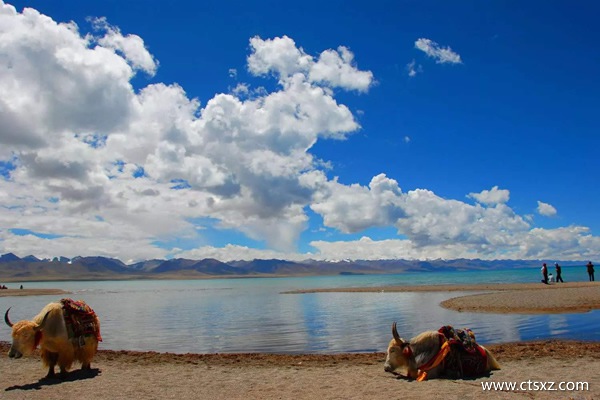 去西藏的最佳時(shí)間