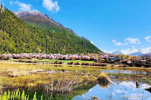 拉薩旅行報(bào)價(jià)