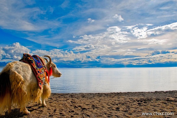 北京到拉薩的機(jī)票