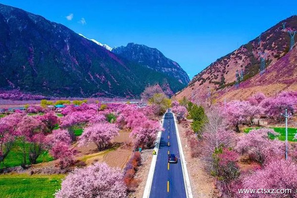 溫州到拉薩旅游