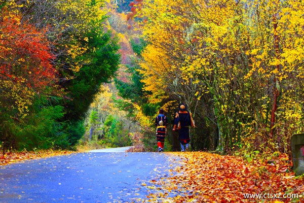 河南南陽到拉薩的旅游費用