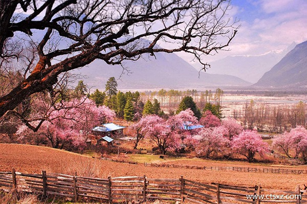 達(dá)州到拉薩旅游費(fèi)用