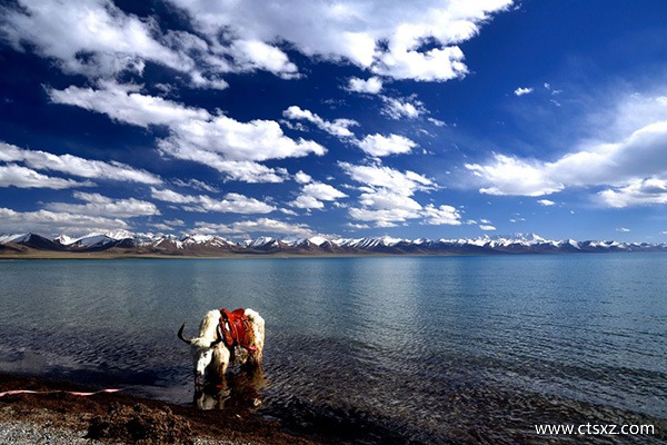 去西藏玩需要多少費(fèi)用