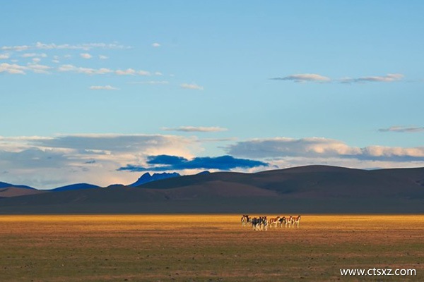 散客去西藏旅游指南