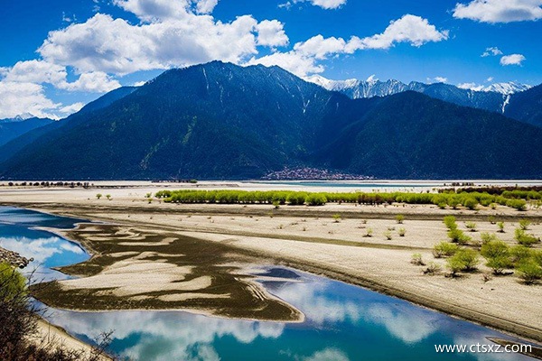 西藏品質(zhì)游苮兒