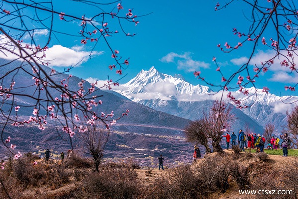 拉薩到林芝多少錢