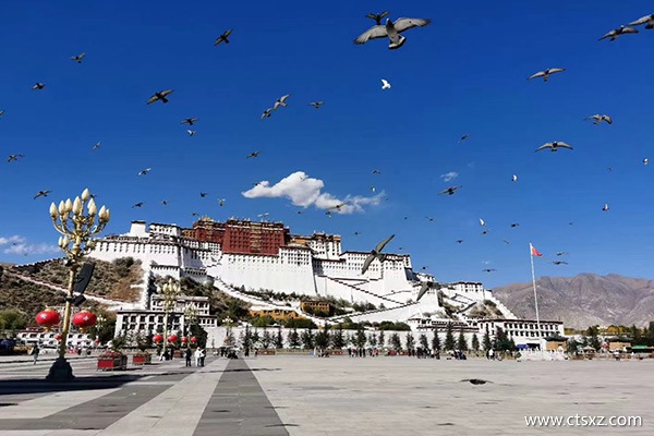 西藏拉薩有高原反應(yīng)嗎