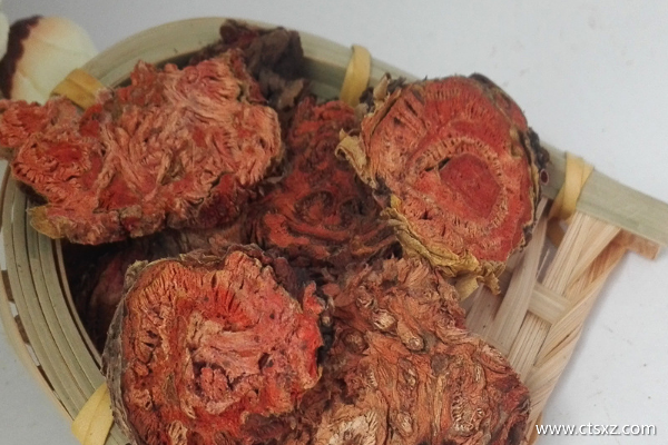 去西藏紅景天提前多久吃