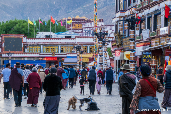 西藏哪個(gè)旅行社比較好