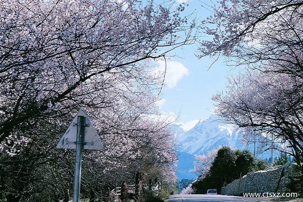 去西藏旅游團(tuán)多少錢