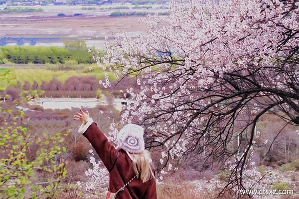 西藏林芝旅游團(tuán)報價