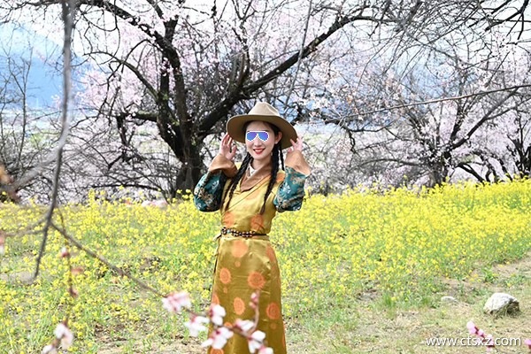 林芝報(bào)團(tuán)價(jià)格