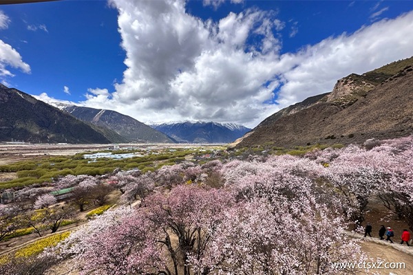 西藏本地團(tuán)多少錢(qián)