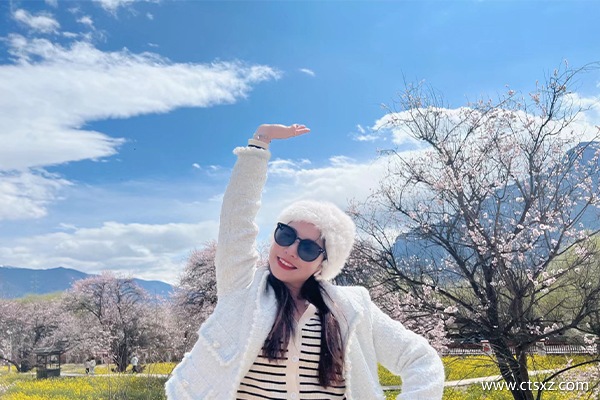 跟團(tuán)去西藏旅游大概多少錢