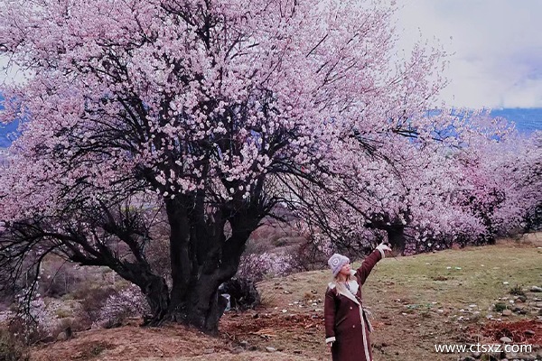 去西藏團(tuán)多少錢一天旅游