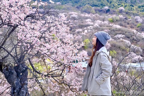 徐州到西藏跟團(tuán)旅游多少錢一個(gè)人