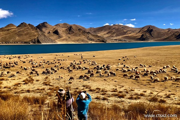 西藏是自由行還是跟團(tuán)好