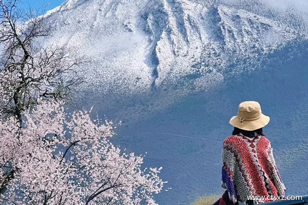 西藏旅行社有哪些