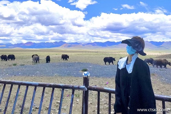 重慶到西藏跟團(tuán)多少錢