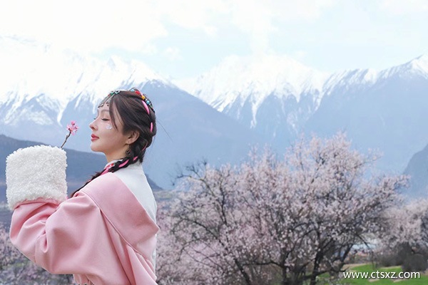 沈陽去西藏旅游報團多少錢