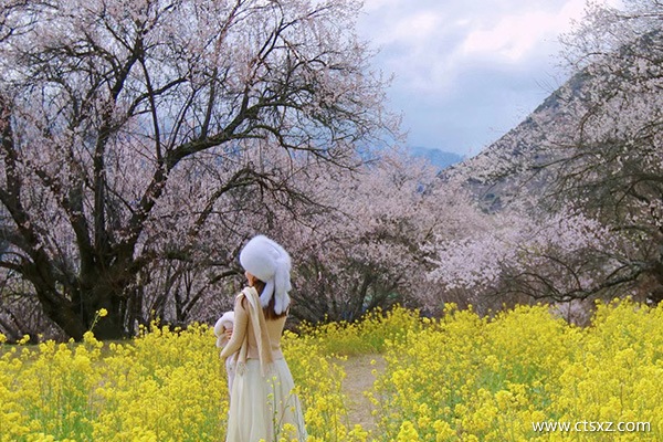 去西藏旅游跟團(tuán)游多少錢