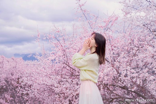 西藏旅游跟團(tuán)費(fèi)用多少