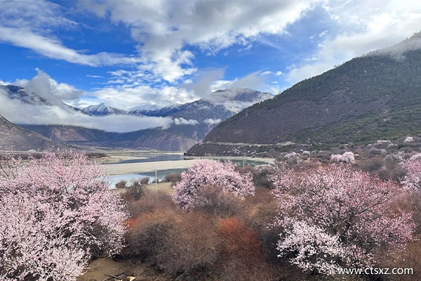 西藏跟團(tuán)大概需要多少錢
