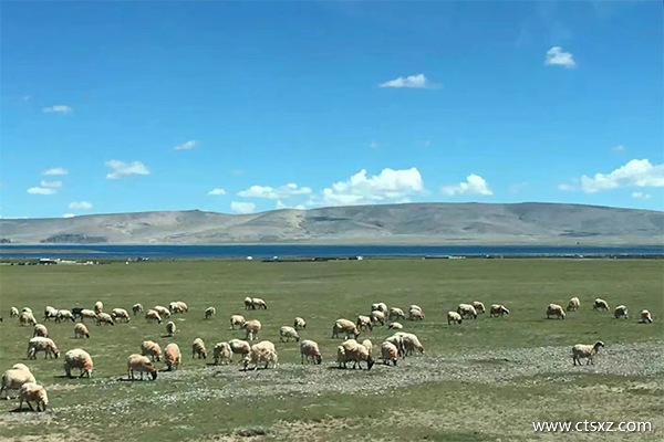 上海直達(dá)拉薩的最美火車(chē)