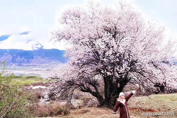 杭州去西藏七日游報團(tuán)價格