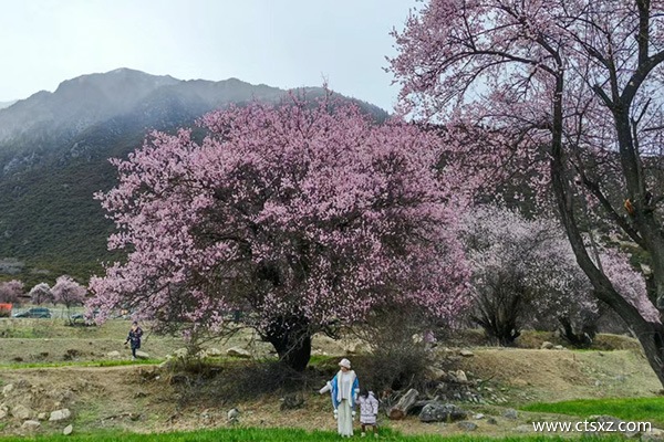 西藏游報(bào)團(tuán)多少錢(qián)