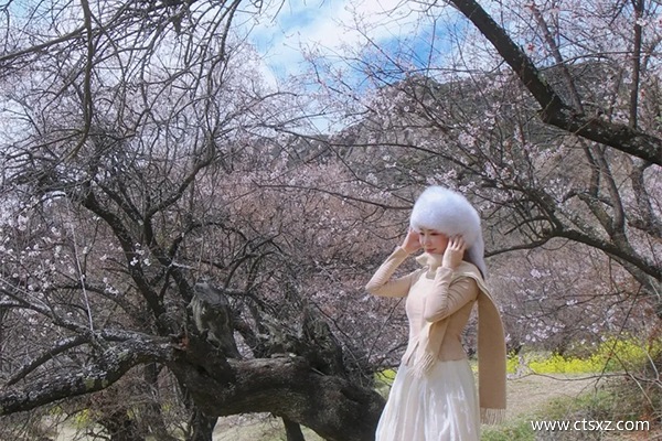 去西藏跟團(tuán)多少錢