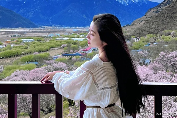 跟團(tuán)去西藏大約多少錢