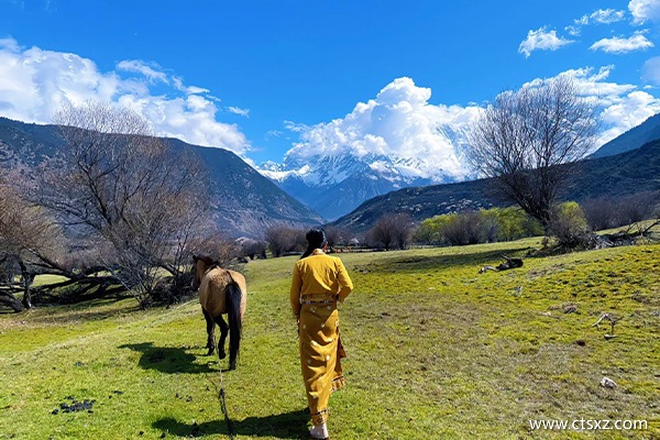 7日游西藏跟團(tuán)多少錢一個(gè)人