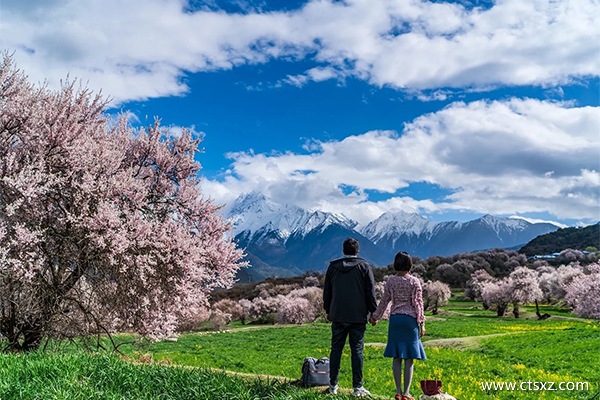 西藏報(bào)團(tuán)游七日行程
