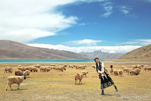 西藏報團游8天要多少錢