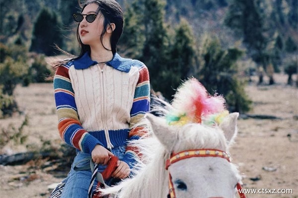 西藏報(bào)團(tuán)玩10天多少錢(qián)